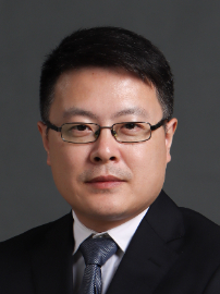 金鹏